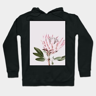 Flowers print, Protea, Pink, Pastel, Fashion print, Scandinavian art, Modern art, Wall art, Print, Minimalistic, Modern Hoodie